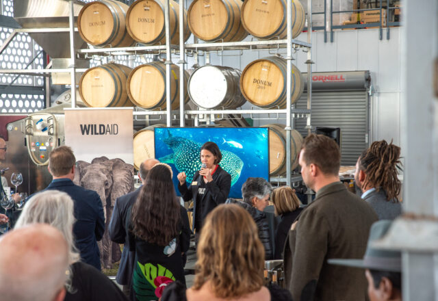 Meaghan Brosnan, WildAid's Marine Program Director, stands in front of a room of people watching her speak.